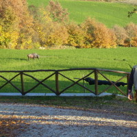Archery in Tuscany