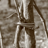 organic-farmhouse-tuscany