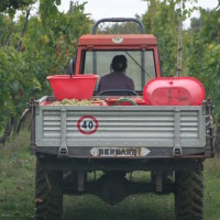 organic-farmhouse-tuscany