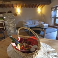 Casa dei fiori Green Deluxe Apartment: family holiday accommodation Tuscany, apartment for rent in Tuscany farmhouse