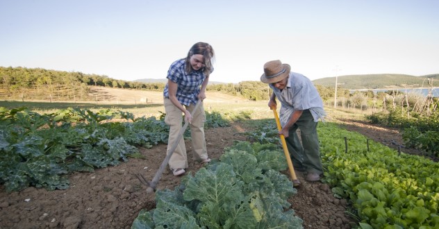 Km zero products for a sustainable tourism in Tuscany