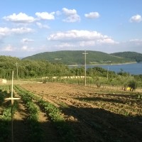 organic-farmhouse-tuscany