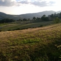 organic-farmhouse-tuscany