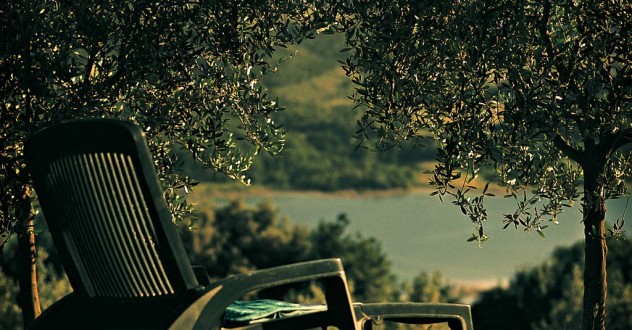 Apartment Green Deluxe Olivo Gentile: apartment close to Arezzo with swimming pool