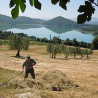 organic-farmhouse-tuscany-Arezzo