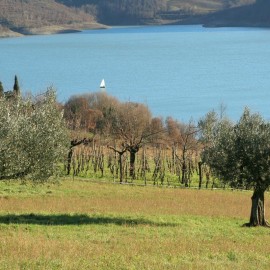 Easter holidays offer Tuscany farmhouse!