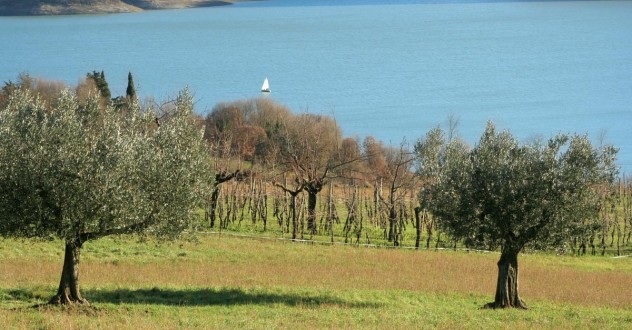 Easter holidays offer Tuscany farmhouse!