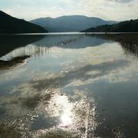 Vacanza sportiva: pesca lago di Montedoglio