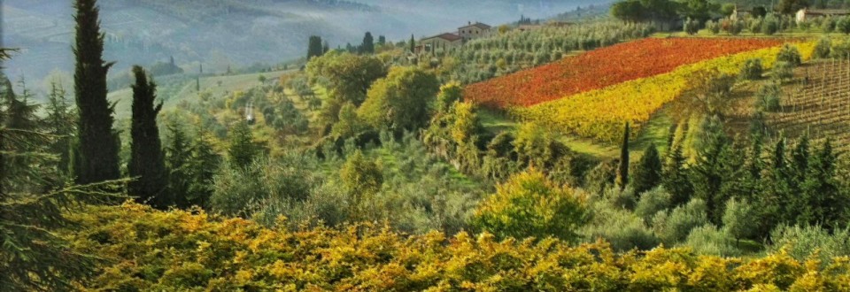 Tours in Tuscany