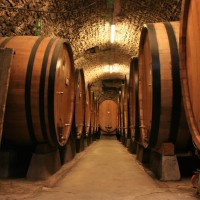 Large_botti_size_oak_barrels_in_Chianti