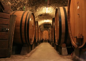 Wine tasting and guided tour