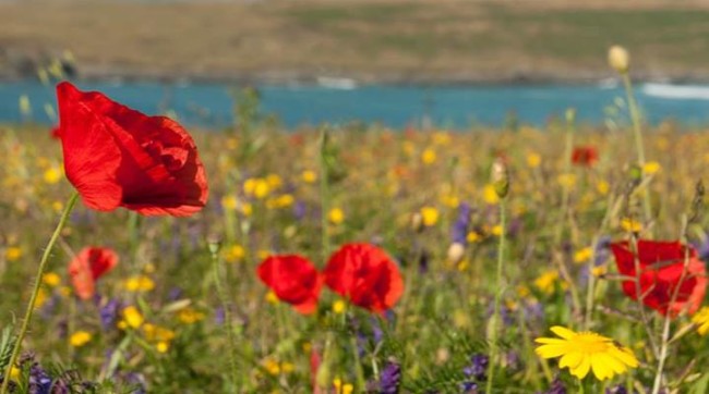 Sustainable_Tourism_World_contest_Ceregne (1)