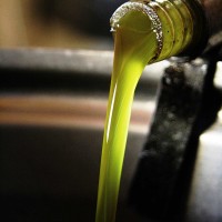 Olive oil tasting