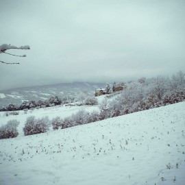 Romantic holidays Christmas Tuscany | Last Minute Arezzo Organic farmhouse