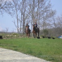 Horseback Riding in Tuscany! Holidays with horse