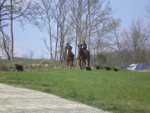 Horseback Riding in Tuscany! Holidays with horse
