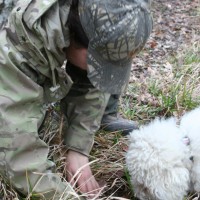 Truffle collecting