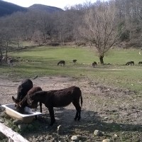 Valtiberna - Alpe della Luna natural park