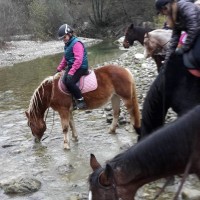 Horseback riding