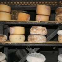 cheese-tuscany