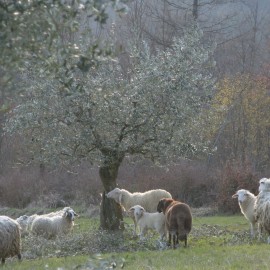 Easter lunch in Farmhouse Tuscany