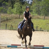 horseback-riding-6724785_1280